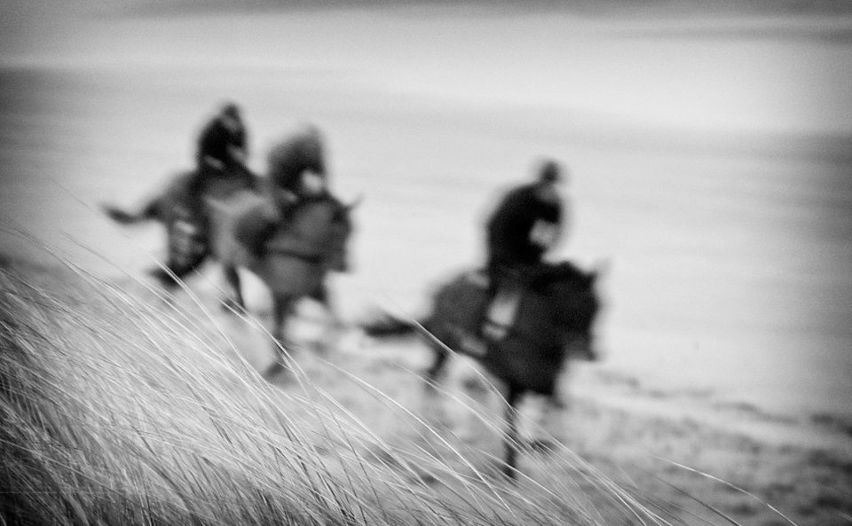 At The Gallop