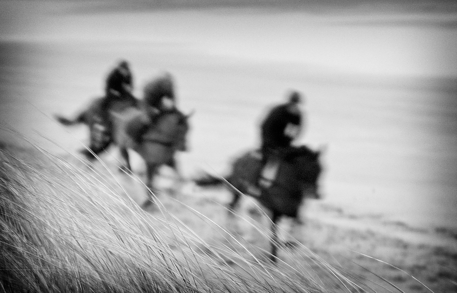 At The Gallop
