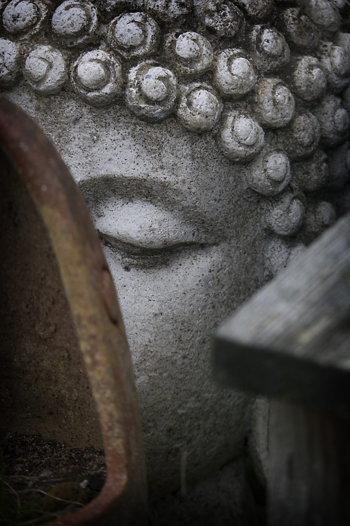 hidden buddha
